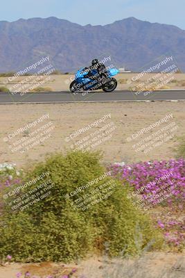 media/Mar-12-2023-SoCal Trackdays (Sun) [[d4c8249724]]/Turn 15 Inside Bloom (130pm)/